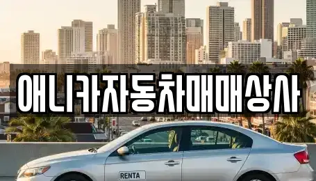 경북 구미시 고아읍 중고차매매 전문 애니카자동차매매상사