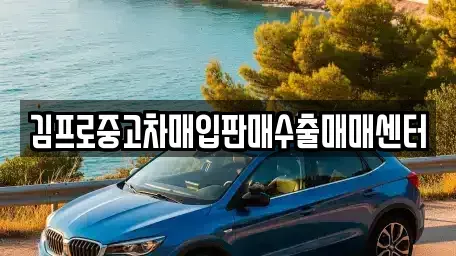 경북 구미시 오태동 중고차매입 전문 김프로중고차매입판매수출매매센터