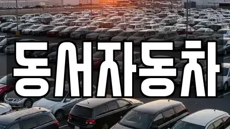 경북 김천시 감천면 중고차 전문 동서자동차