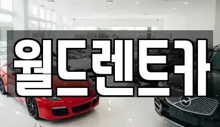 경북 단기렌트카 전문 월드렌트카