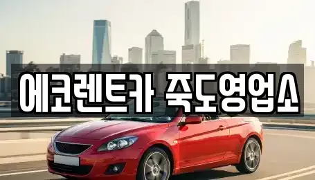 경북 렌트카 전문 에코렌트카 죽도영업소