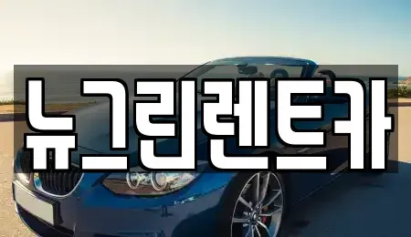 경북 성주군 렌트카 전문 뉴그린렌트카