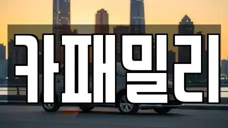 경북 성주군 중고차매매 전문 카패밀리