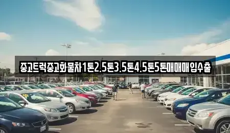 경북 성주군 중고차매입 전문 중고트럭중고화물차1톤2.5톤3.5톤4.5톤5톤매매매입수출
