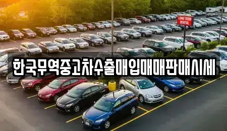 경북 안동시 노하동 중고차매입 전문 한국무역중고차수출매입매매판매시세