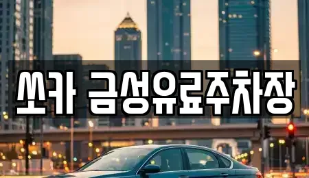 경북 안동시 목성동 렌트카 전문 쏘카 금성유료주차장