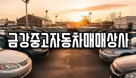 경북 영주시 가흥동 중고차매매 전문 금강중고자동차매매상사