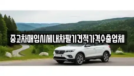 경북 영천시 망정동 중고차매입 전문 중고차매입시세내차팔기견적가격수출업체