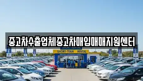 경북 영천시 망정동 중고차매입 전문 중고차수출업체중고차매입매매지원센터