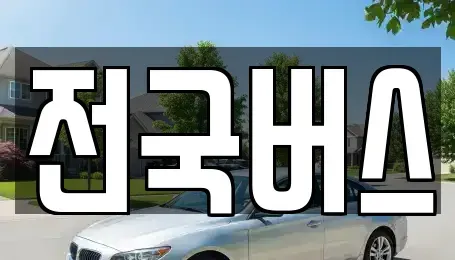 경북 영천시 본촌동 중고차매매 전문 전국버스