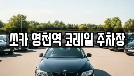 경북 영천시 작산동 렌트카 전문 쏘카 영천역 코레일 주차장