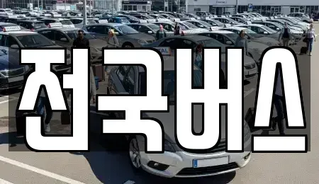 경북 영천시 작산동 중고차매매 전문 전국버스