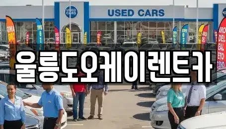 경북 울릉군 렌트카 전문 울릉도오케이렌트카