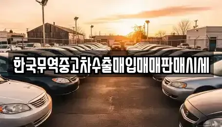 경북 울릉군 중고차 전문 한국무역중고차수출매입매매판매시세