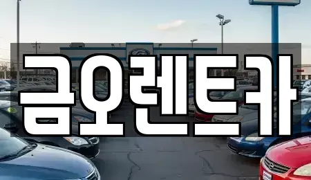 경북 칠곡군 지천면 렌트카 전문 금오렌트카