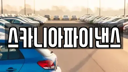 경북 칠곡군 지천면 중고차 전문 스카니아파이낸스