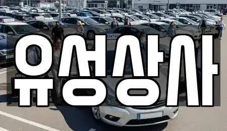 경북 칠곡군 지천면 중고차 전문 유성상사