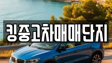 경북 칠곡군 지천면 중고차매매 전문 킹중고차매매단지