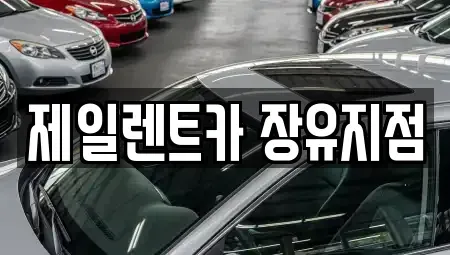 경상남도 김해시 무계동 렌트카 전문 제일렌트카 장유지점
