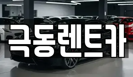 경상남도 밀양시 부북면 렌트카 전문 극동렌트카