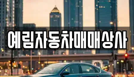 경상남도 밀양시 부북면 중고차 전문 예림자동차매매상사