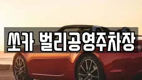 경상남도 사천시 봉남동 렌트카 전문 쏘카 벌리공영주차장