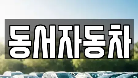 경상남도 진주시 망경동 중고차 전문 동서자동차