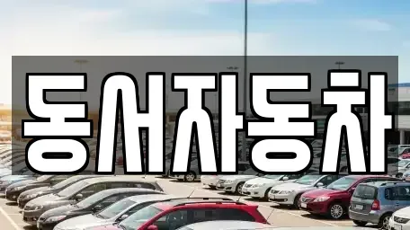 경상남도 창원시 마산회원구 석전동 중고차 전문 동서자동차
