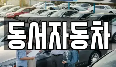 경상남도 창원시 성산구 불모산동 장기렌트카,중고차,렌트카,단기렌트카,중고차매입,중고차매매