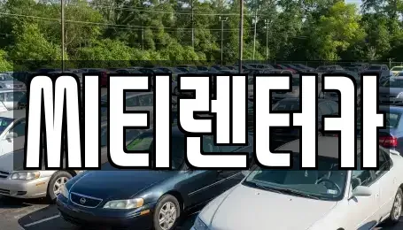 경상남도 창원시 성산구 성산동 렌트카 전문 씨티렌터카
