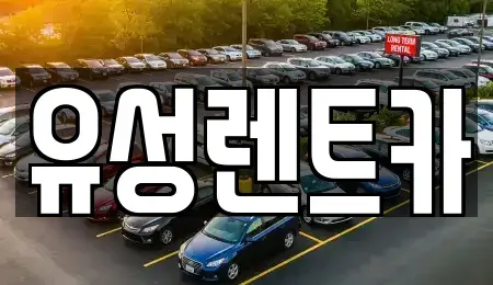 경상남도 창원시 성산구 성산동 렌트카 전문 유성렌트카
