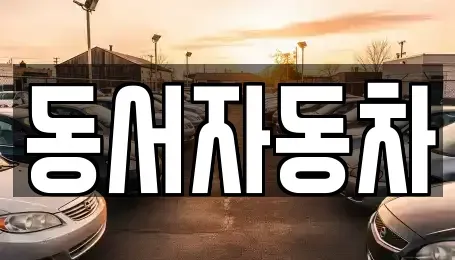 경상남도 창원시 성산구 창곡동 중고차 전문 동서자동차