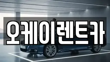 경상남도 창원시 의창구 내리동 렌트카 전문 오케이렌트카