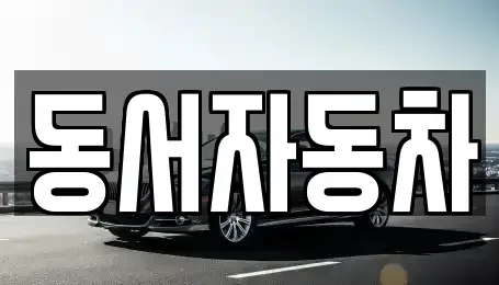 경상남도 창원시 의창구 내리동 중고차 전문 동서자동차
