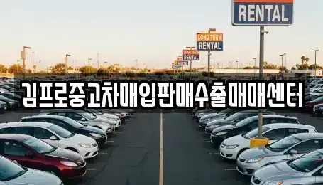 경상남도 창원시 의창구 내리동 중고차매입 전문 김프로중고차매입판매수출매매센터
