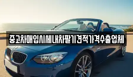 경상남도 창원시 의창구 내리동 중고차매입 전문 중고차매입시세내차팔기견적가격수출업체