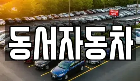 경상남도 창원시 의창구 북동 중고차매매 전문 동서자동차