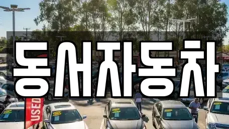 경상남도 창원시 의창구 차용동 중고차매매 전문 동서자동차