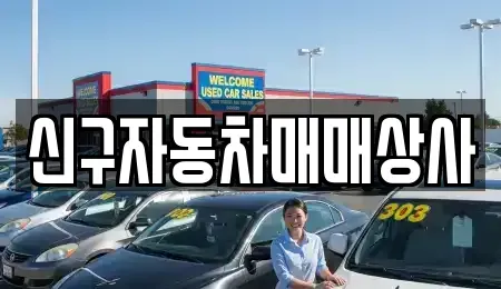 경상남도 창원시 진해구 인사동 중고차 전문 신구자동차매매상사