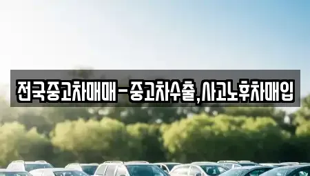 경상남도 창원시 진해구 인사동 중고차매입 전문 전국중고차매매-중고차수출,사고노후차매입