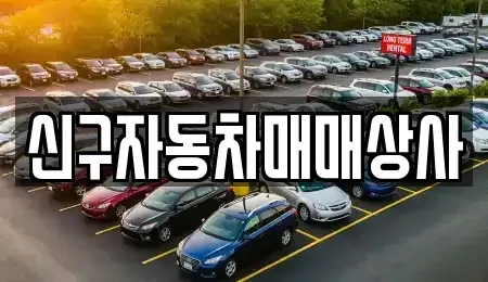 경상남도 함안군 칠서면 중고차매매 전문 신구자동차매매상사