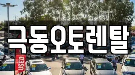 경상북도 경산시 옥산동 렌트카 전문 극동오토렌탈