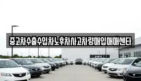 경상북도 경산시 옥산동 중고차매매 전문 중고차수출수입차노후차사고차량매입매매센타