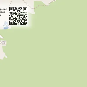 경상북도 경주시 배동 중고차매매 동서자동차 위치