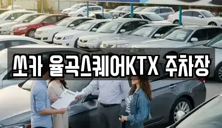 경상북도 김천시 감천면 렌트카 전문 쏘카 율곡스퀘어KTX 주차장