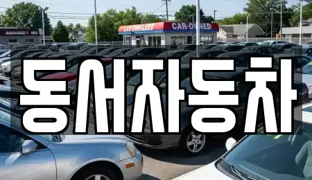 경상북도 김천시 감천면 중고차 전문 동서자동차