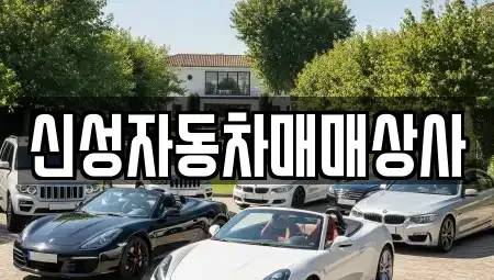 경상북도 김천시 감천면 중고차 전문 신성자동차매매상사