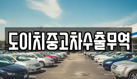 경상북도 김천시 남산동 중고차 전문 도이치중고차수출무역