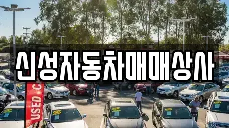 경상북도 김천시 남산동 중고차매매 전문 신성자동차매매상사