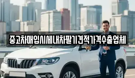 경상북도 김천시 남산동 중고차매입 전문 중고차매입시세내차팔기견적가격수출업체